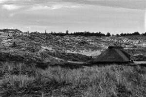 In den Dünen auf Amrum