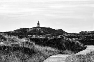 In den Dünen auf Amrum