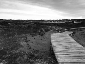 In den Dünen auf Amrum